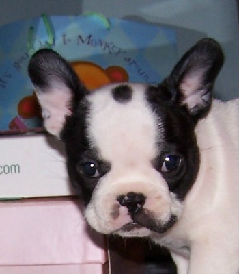6 weeks