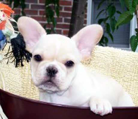 9 weeks 