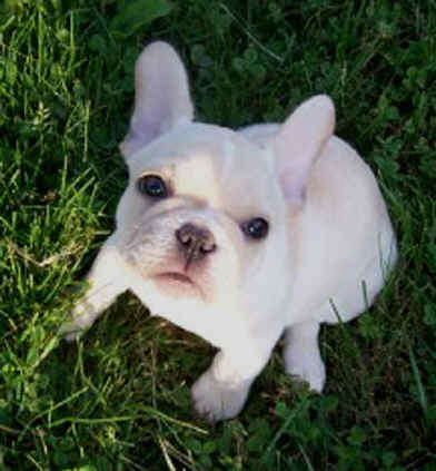 9 weeks old!