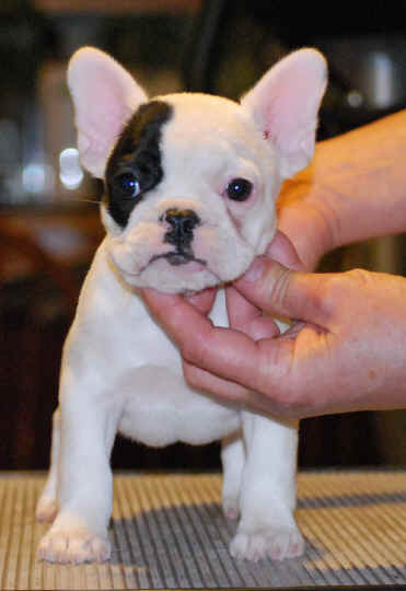 8 weeks old!