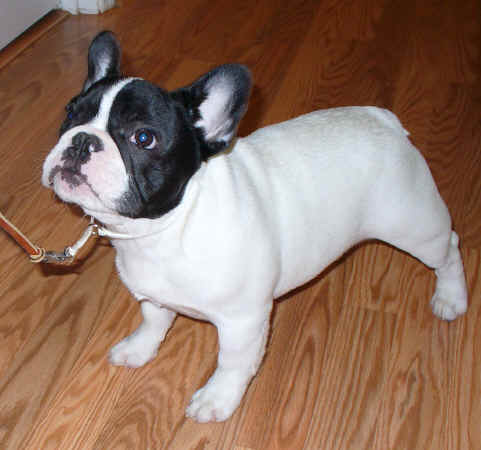 Stash stacking a 4 & a half months