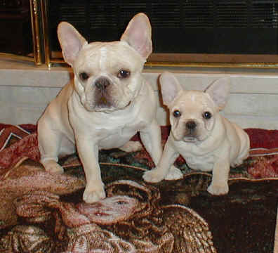 Crystal and Ozzie, 12-2004