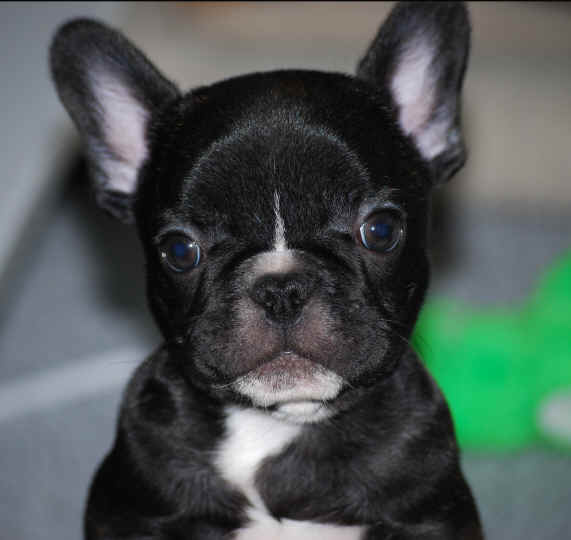 9 weeks