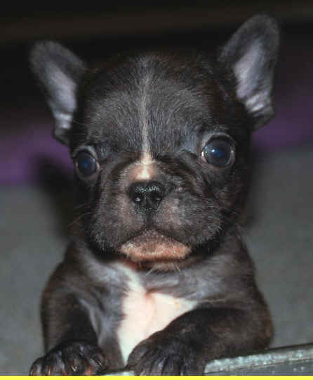 6 weeks
