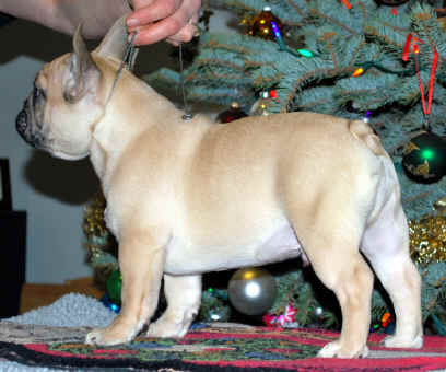 16 weeks