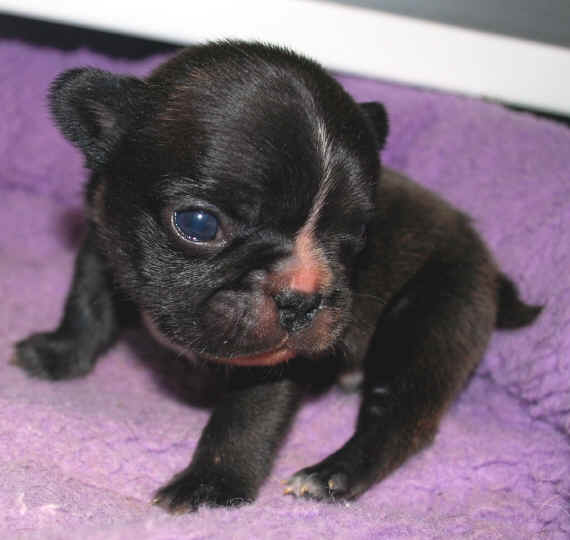 3 Weeks