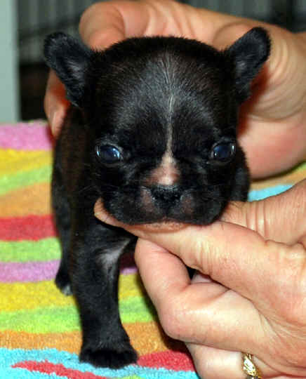 4 weeks