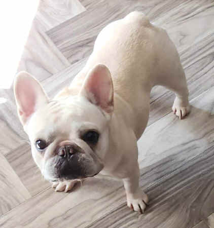 Maxine at 4 and a half years