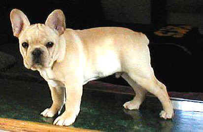 Crystal and Ozzie, 12-2004