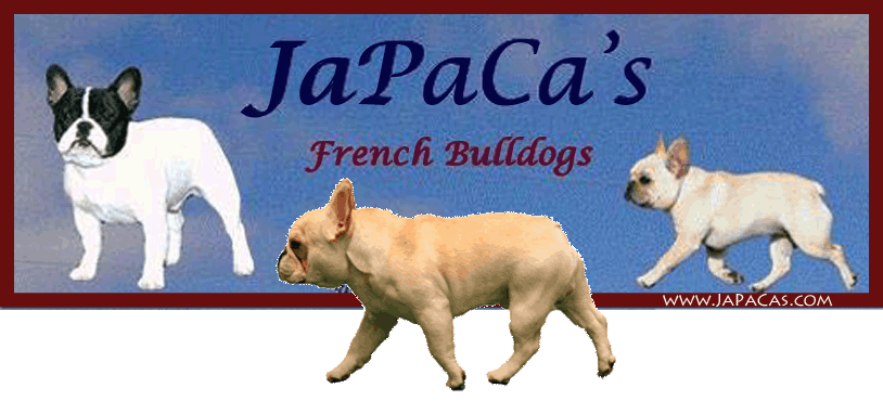 Duncan-Rona Pups