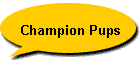 Champion Pups