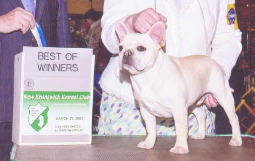 Ozz Man's First Win!